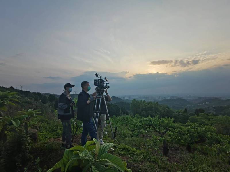 创意破圈！琼山区电商产品宣传视频用故事化叙事引爆流量