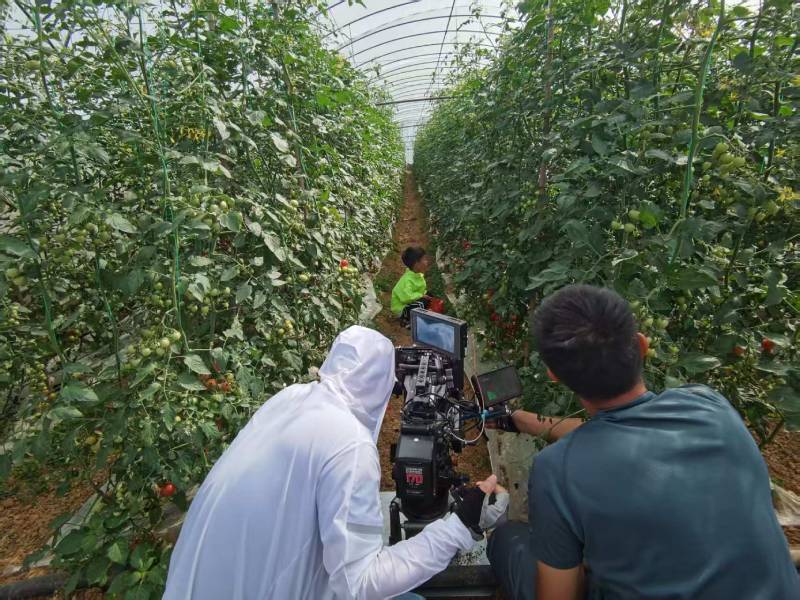 琼山区产品宣传视频拍摄公司进阶指南，助力品牌抢占传播高地